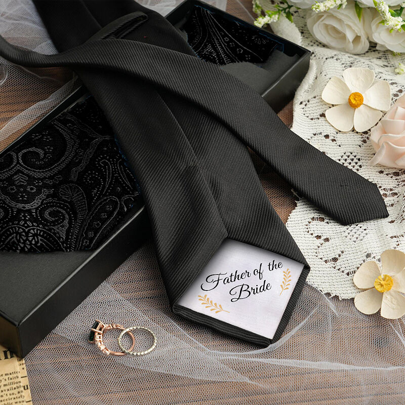 Beautiful Tie Wonderful Gift for Father
