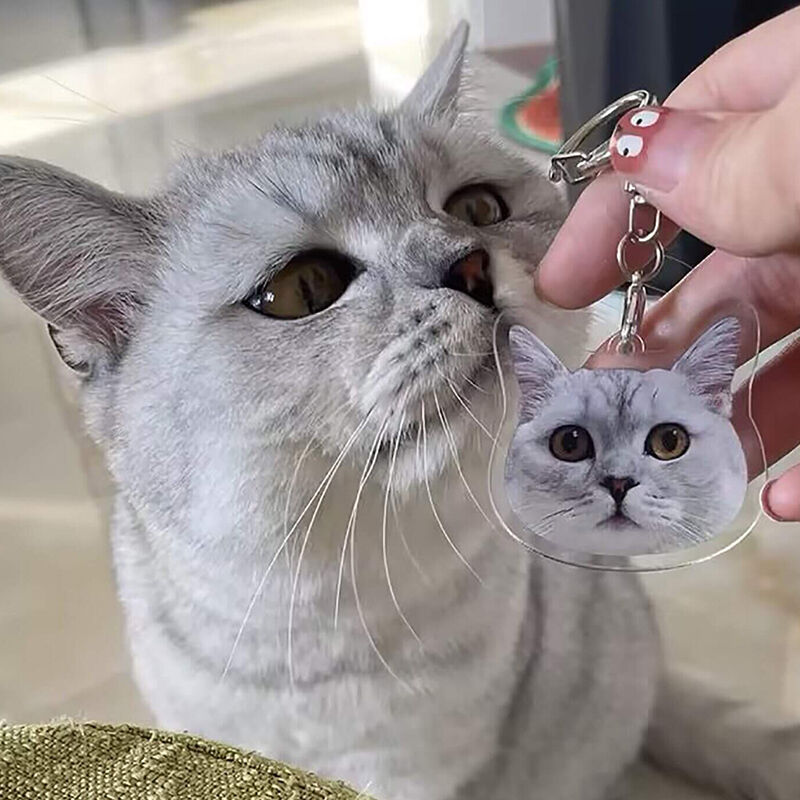 犬 猫 ペット 顔写真 名入れキーホルダー オーダーメイド