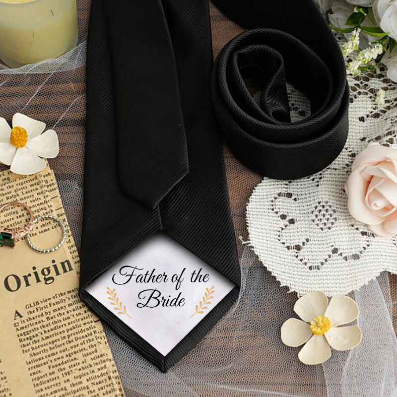 Beautiful Tie Wonderful Gift for Father
